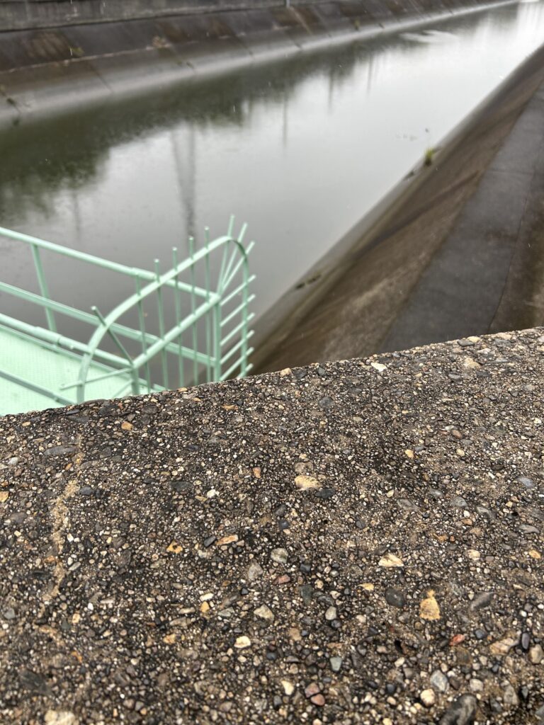 現在の画像に代替テキストがありません。ファイル名: IMG_0431-scaled.jpg